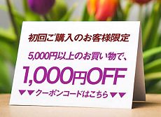 初回購入者限定2,000円OFFクーポンプレゼント
