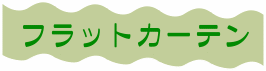 �t���b�g�J�[�e��