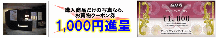 購入商品だけなら、お買物クーポン券1,000円進呈。