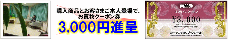購入商品とご本人さま登場なら、お買物クーポン券3,000円進呈。