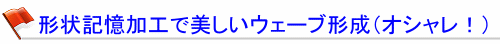 �`��L�����H�Ŕ������E�F�[�u�`���i�I�V�����I�j