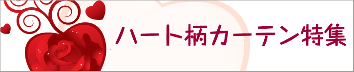�n�[�g���J�[�e��