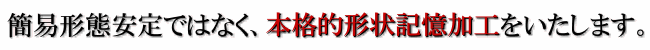 �ȈՌ`�Ԉ���ł͂Ȃ��A�{�i�I�Ȍg�ыL�����H�ł��B
