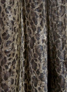 LEO9228�̃J�[�e���C���[�W