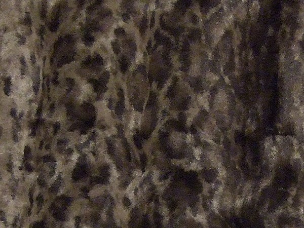 LEO9228���n�C���[�W