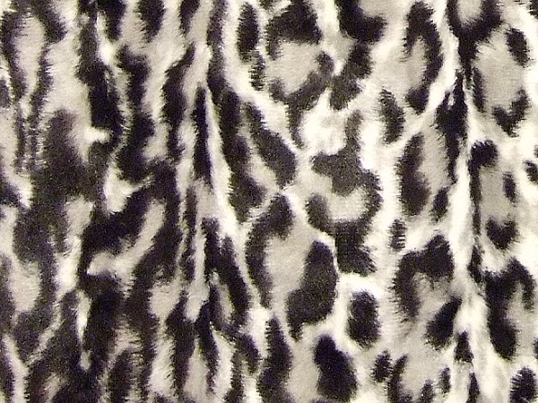 LEO9229���n�C���[�W