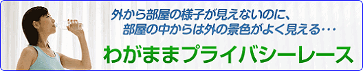�O���畔���̗l�q�������Ȃ��̂ɕ����̒�����O�̌i�F�͂悭������A�킪�܂܃v���C�o�V�[���[�X