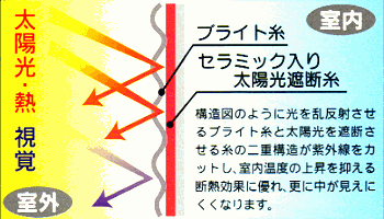 �g�D�f�ʐ}