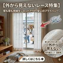 外から見えないレース特集