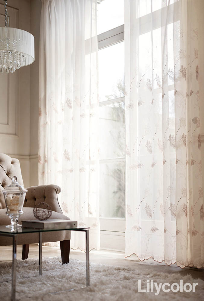  �������������t�����i�̂���h�J���[�X�` 