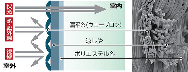 構造